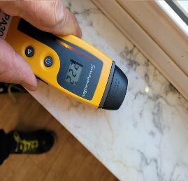 Mold Detection Near me